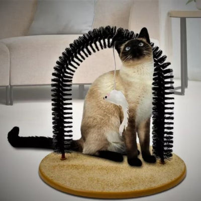 brosse-à-chat-idéale