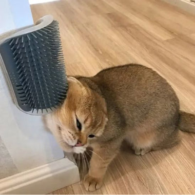 brosse-pour-chat-magnifique