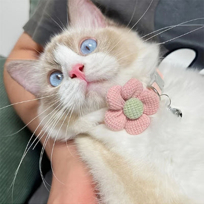 collier-pour-chat-confortable