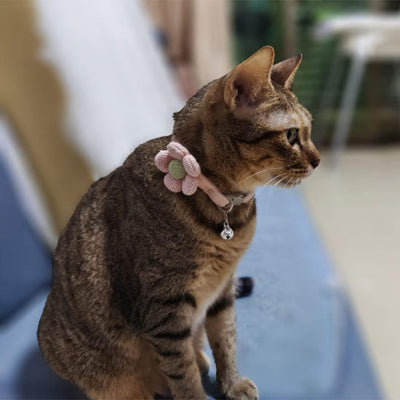 collier-pour-chat-sécuritaire