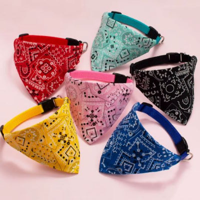 collier-pour-chat-confortable