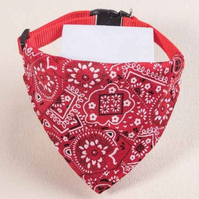 collier-pour-chat-idéal