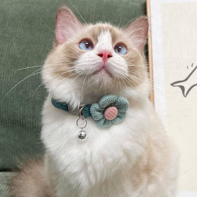 collier-pour-chat-de-qualité
