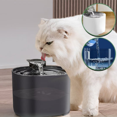 fontaine-à-eau-chat-rassurante