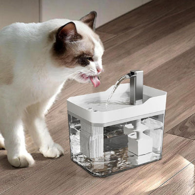 fontaine-a-eau-chat-silencieuse-pratique