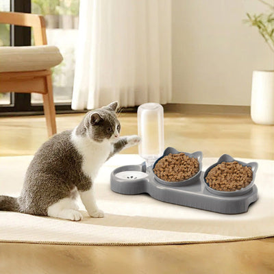 gamelle-chat-pratiquement-efficace