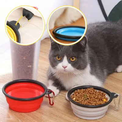 gamelle-chat-pratique