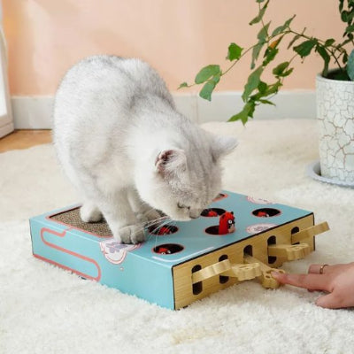 griffoir-à-chat-parfait