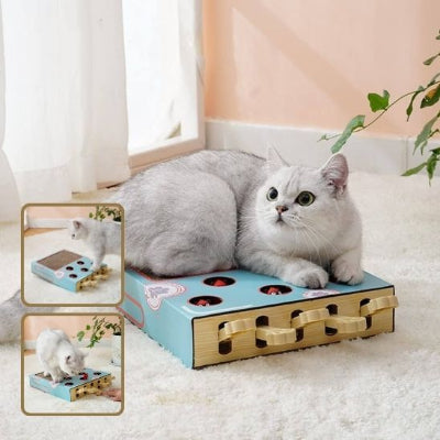 griffoir-à-chat-relaxant