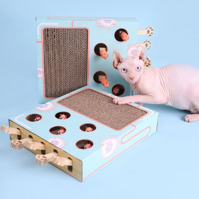 griffoir-à-chat-polyvalente