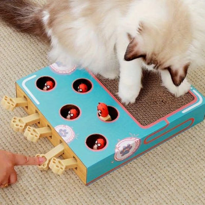 griffoir-à-chat-efficace