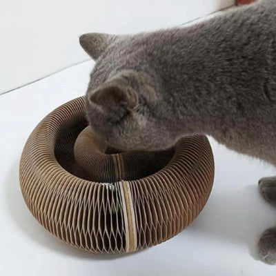 griffoir-chat-carton-idéal