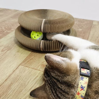 griffoir-chat-carton-drole