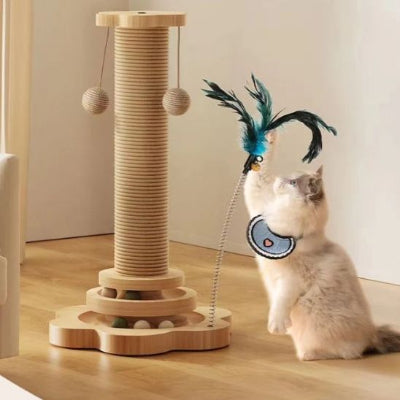 griffoir-chat-amusant