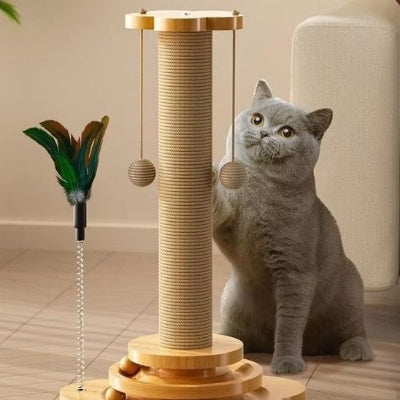 griffoir-chat-magnifique