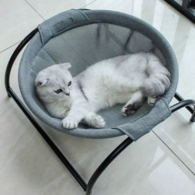 hamac-chat-magnifique