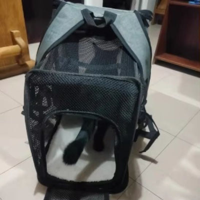 sac-a-os-chat-pour-vos-sorties