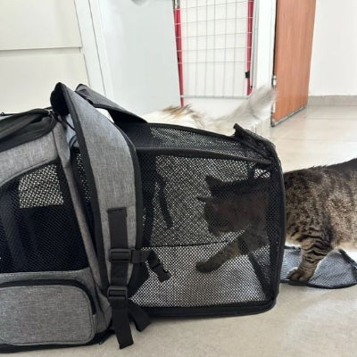 sac-a-dos-chat-juste-pratique