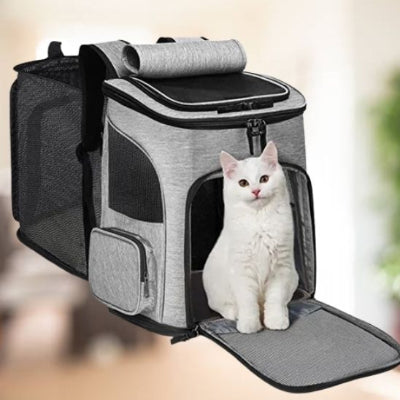 sac-a-dos-chat-juste-magnifique
