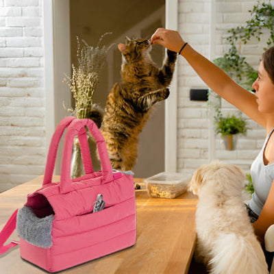 sac-de-transport-chat-aidant