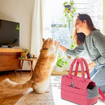 sac-de-transport-chat-pratique
