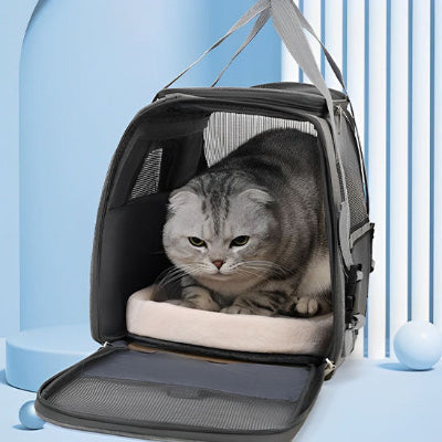 sac-d-transport-pour-chats-idéal
