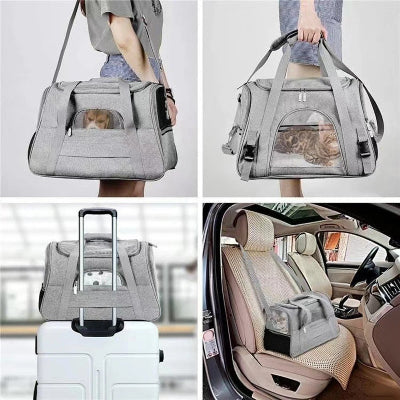 sac-de-transport-pour-chats-magnifique