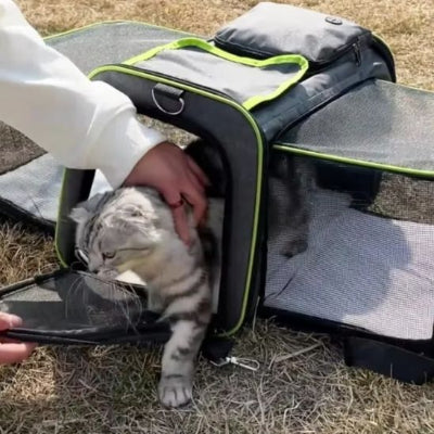 sac-pour-chat-pratique