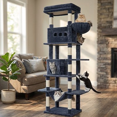Arbre à Chat xxl  pratique