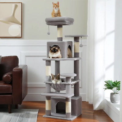 arbre-à-chat-vert