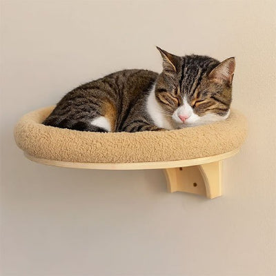 arbre-à-chat-mural-beau