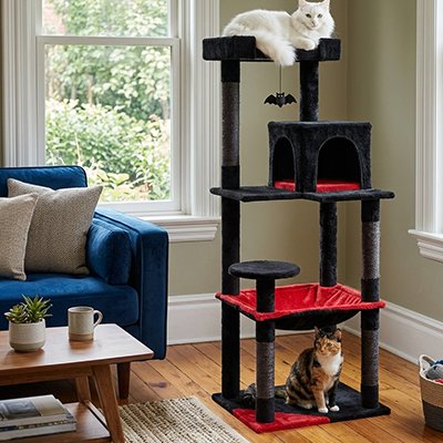 Arbre à Chat  parfait