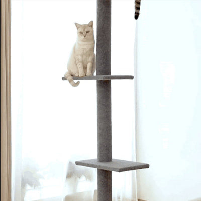 arbre-à-chat-sécuritaire
