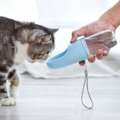 bouteille-d-eau-portable-pour-chat-bleue