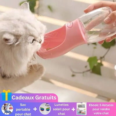 bouteille-d'eau-portable-pour-chat-pratique