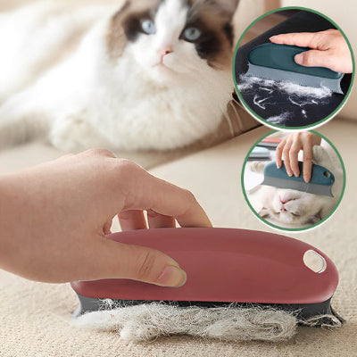 brosse-anti-poil-efficace-pour-vos-meubles