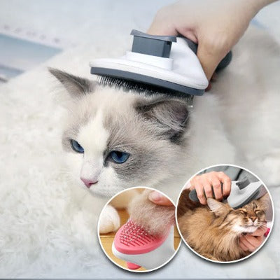 brosse-chat-idéale