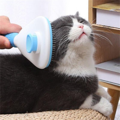 brosse-douce-pour-chat-bleue
