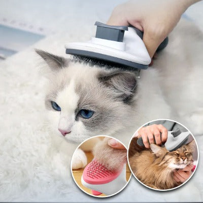 brosse-douce-pour-chat-idéale