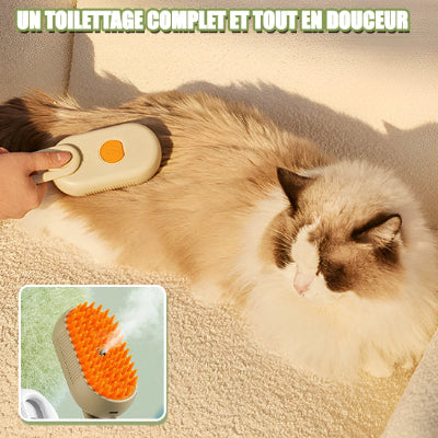 brosse douce pour chat pratique