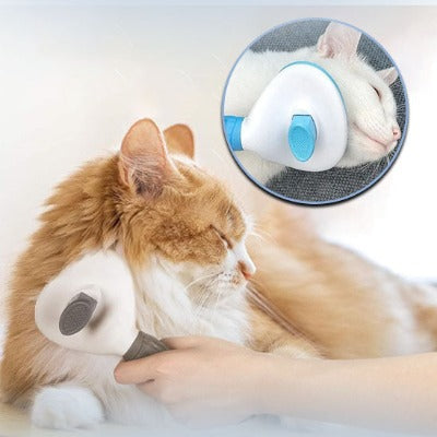 brosse-douce-pour-chat-magnifique