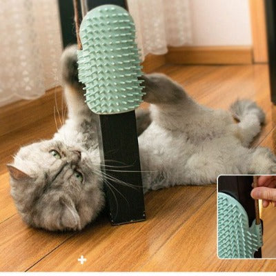 brosse-pour-chat-bleue