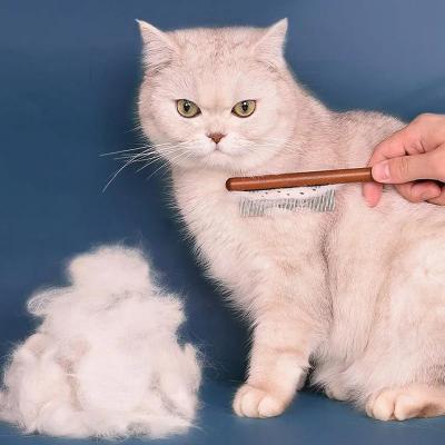 brosse-pour-chat-douce