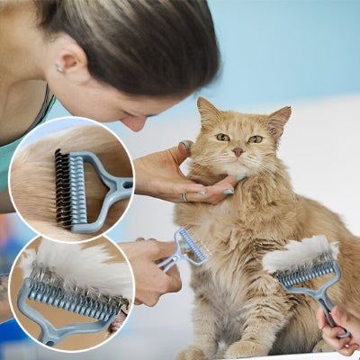 brosse-pour-chat-pratique-pour enlever-les-poils