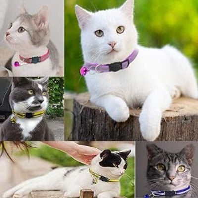 collier-chat-efficace