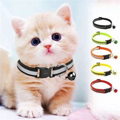 collier-chat-ideal