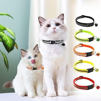 collier-chat-magnifique