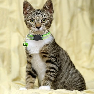 collier-chat-vert