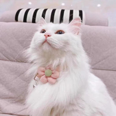 collier-pour-chat-rose