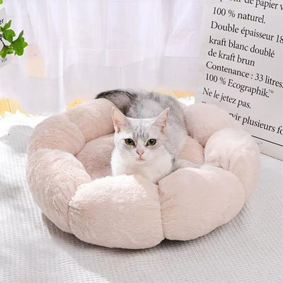 Coussin-chat-confortable
